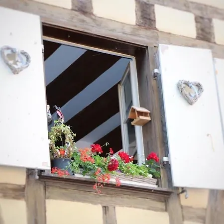 Renove A Avec Jardin Et Terrasse - Fr-1-722-11 Appartement *