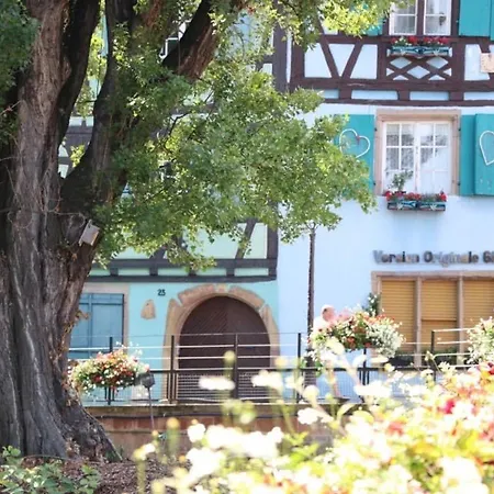 Appartement Renove A Avec Jardin Et Terrasse - Fr-1-722-11 *