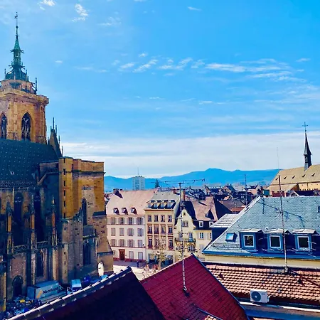 Appartement Renove A Avec Jardin Et Terrasse - Fr-1-722-11 Colmar