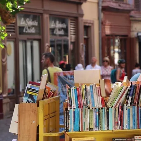 Renove A Avec Jardin Et Terrasse - Fr-1-722-11 Appartement *