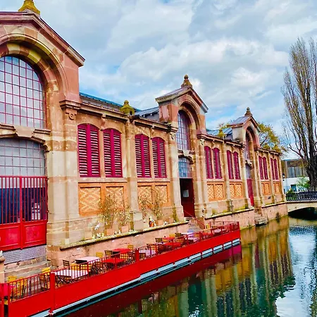 Renove A Avec Jardin Et Terrasse - Fr-1-722-11 Appartement Colmar