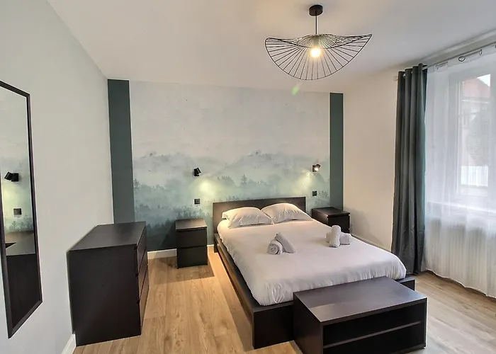 Appartamento Renove A Avec Jardin Et Terrasse - Fr-1-722-11 Colmar