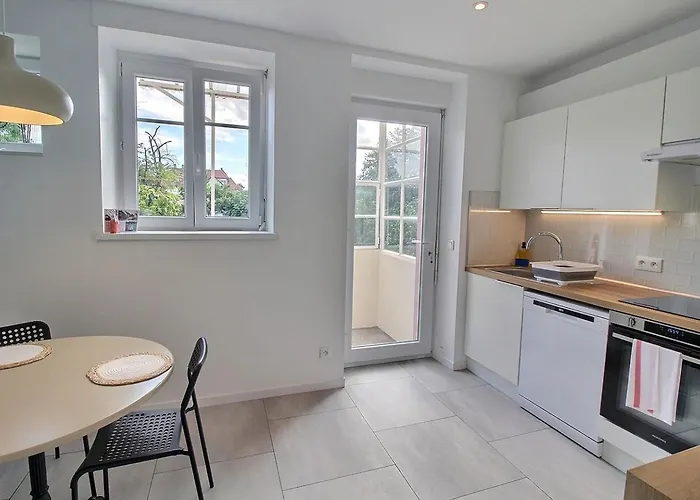 Renove A Avec Jardin Et Terrasse - Fr-1-722-11 * Colmar