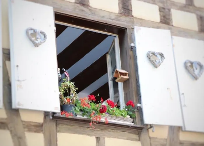 Renove A Avec Jardin Et Terrasse - Fr-1-722-11 Appartamento *