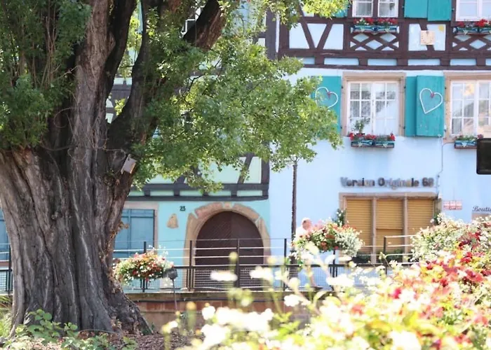 Appartamento Renove A Avec Jardin Et Terrasse - Fr-1-722-11 *