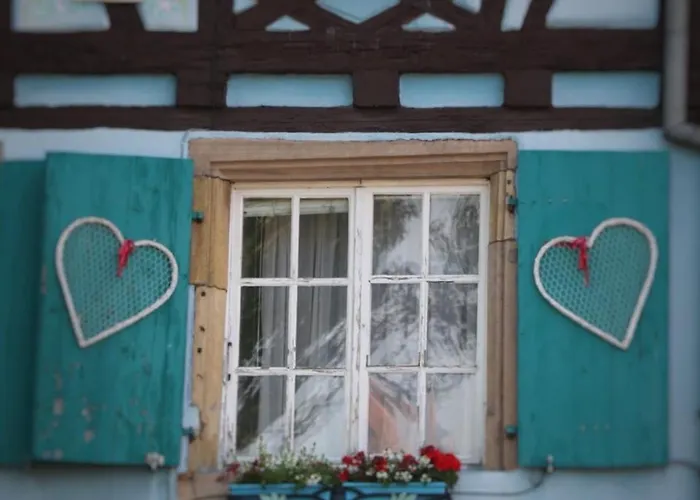 Renove A Avec Jardin Et Terrasse - Fr-1-722-11 Appartamento Colmar