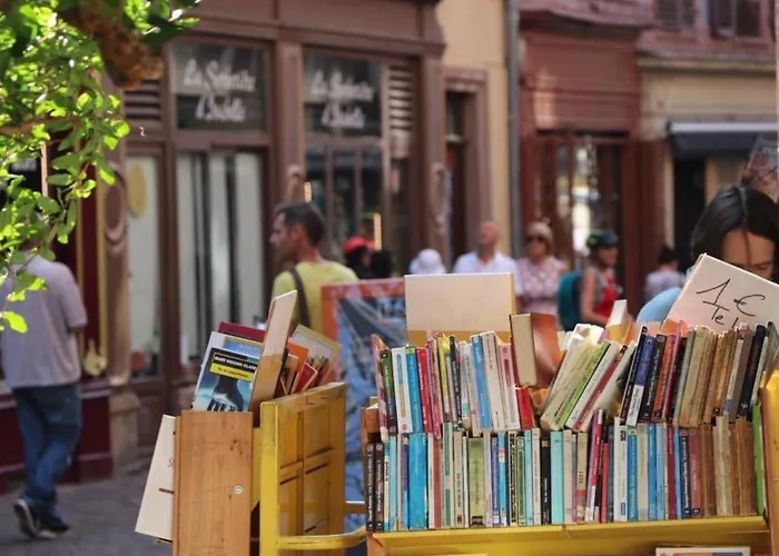 Renove A Avec Jardin Et Terrasse - Fr-1-722-11 Appartamento *