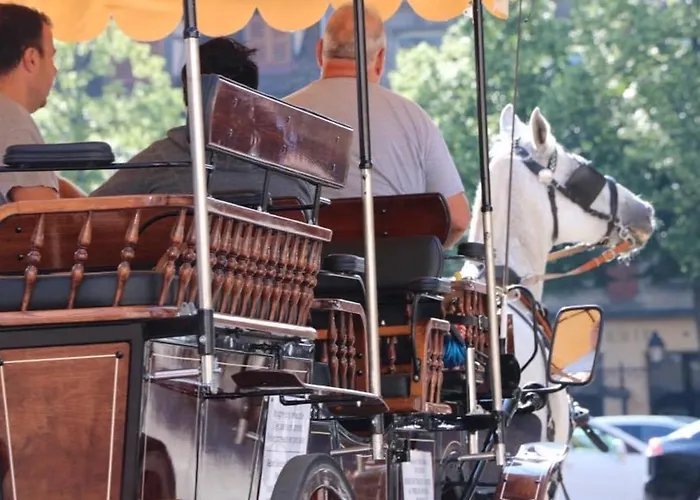 Renove A Avec Jardin Et Terrasse - Fr-1-722-11 Appartamento *