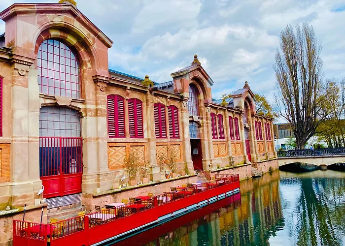 Renove A Avec Jardin Et Terrasse - Fr-1-722-11 Appartamento Colmar